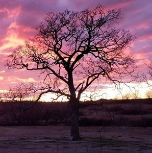Meet your Posher, Beverly